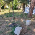 Villa Bini a Trani: un patrimonio in pericolo tra degrado e abbandono