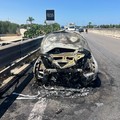 Auto in fiamme sulla 16 bis tra Trani e Bisceglie: traffico in tilt per ore