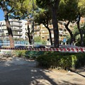 Area recintata in piazza Dante a Trani per un grosso ramo di pino pericolante