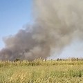 Incendio a Trani Boccadoro: terreno incolto in fiamme, fumo visibile da chilometri