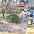 Ancora degrado e incuria nell'area ex Capannoni Ruggia, aumentano ratti e rifiuti