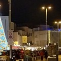 D'oro e d'azzurro: risplende sul porto l'albero di Natale a Trani