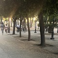 Scooter nella Villa Comunale nonostante il divieto: passanti increduli, scoppia la polemica