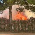 Vasto incendio in via Curatoio: vigili del fuoco al lavoro