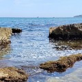 Schiuma e miasmi in Zona Conche: il mare negato e l'appello inascoltato dei cittadini