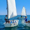 Sardellinia Cup, Trani saluta l’estate tra vela e pesca: 43 equipaggi in gara