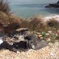 Spiagge e fondali puliti, volontari in azione a Trani