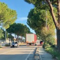 Limite di velocità a 20 km/h su via Martiri di Palermo: l'ordinanza della Polizia locale per ragioni sicurezza