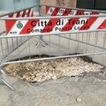 Buche e avvallamenti di una (quasi) strada