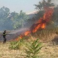 Incendi estivi, il Comune vara un'ordinanza per contrastarli