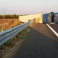 Camion con angurie si ribalta sull'A14 tra Trani e Andria