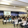 Settimana della cultura ebraica, oggi è la festa di Purìm