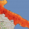 Trani, bollino arancione fino a domenica: caldo e afa persistono. Al via il Piano Emergenza Caldo 2026