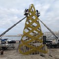 Trani, da stasera sul porto l’Albero di Natale