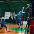 Adriatica Trani: esordio in Serie D sul campo della Scuola & Volley Altamura