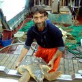 Un'altra tartaruga Caretta Caretta salvata da un peschereccio tranese