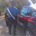 Assaltano un Tir con cisterna d'olio a Terlizzi e in fuga provocano un incidente.