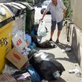 Via Perrone Capano colma di rifiuti: «Sono giorni che non passa nessuno per la pulizia»