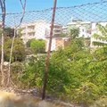 Terreni comunali in preda al degrado: la denuncia della consigliera Barresi