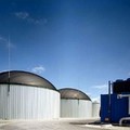 Appalto biogas, per Gagliardi c'è qualcosa che non va