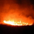 Ancora incendi, brucia un terreno sulla Trani-Andria