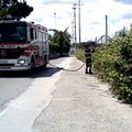 Incendio in un terreno a pochi metri dall'ospedale di Trani
