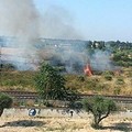 A fuoco alcuni campi nella periferia sud di Trani