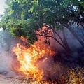 Con il caldo tornano anche gli incendi