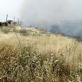 In fiamme i campi incolti di via Andria