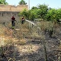 Trani, a fuoco un terreno in via Vecchi