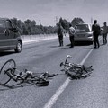 Incidente sulla SP 231 a Terlizzi: l'Avis Bat vicina alle famiglie