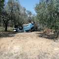 Grave incidente sulla sp231, auto finisce contro un ulivo