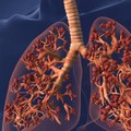 Domani a trani spirometrie gratuite in piazza Quercia