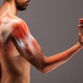 Carenza muscolare e difficoltà nel perdere peso