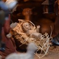 Via San Martino si addobba a festa per il Natale e ospita un presepe moderno