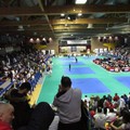 Trofeo internazionale a Lignano Sabbiadoro, la Judo Trani è la migliore di Puglia