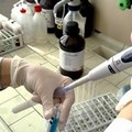 Negativi tutti gli ultimi casi sospetti di Coronavirus in Puglia