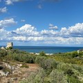 Lama Paterna, il sogno prende forma: le Giornate FAI accendono i riflettori sul tesoro tra Trani e Bisceglie