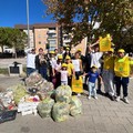 Legambiente |  "Puliamo il mondo 2026 ”: clean up in Piazza Madre Teresa di Calcutta a Trani