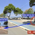 Gli alberi urbani: a Trani si può parlare di albericidio?