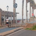 Paura a Trani, tromba d’aria si abbatte sulla città: volano i tavolini dei locali e cadono alberi sul lungomare