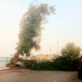 Emergenza vento a Trani: chiusa la Villa Comunale, scattano i controlli sul verde pubblico