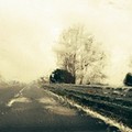 Meteo a Trani: freddo ad inizio settimana, poi vento e pioggia