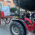 Editoriale: Scusate il Disturbo | La terra svenduta e l’oro verde che non sfama: la ferita aperta della Provincia Barletta Andria Trani