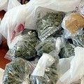 Droga: disarticolate due organizzazioni criminali