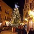 Adotta una strada: in via Mario Pagano cinque cascate di luci