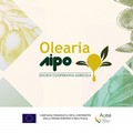 Monitoraggio della mosca dell'olivo, bollettino fitosanitario del 3 ottobre