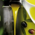 Ortofrutta, olio e vino spacciati per Made in Italy: maxi sequestro in Puglia
