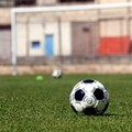 Vigor batte Molfetta 2-1, ancora prima in campionato