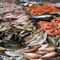 Coldiretti Puglia, con afa e caldo aumenta il consumo di pesce